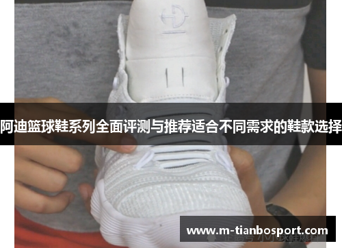 阿迪篮球鞋系列全面评测与推荐适合不同需求的鞋款选择