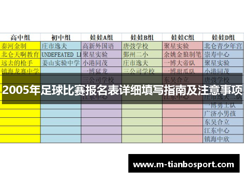 2005年足球比赛报名表详细填写指南及注意事项